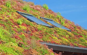 Brandeston living roof systems